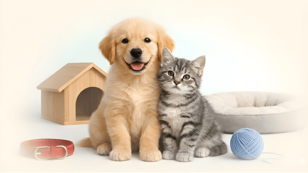 Cachorro feliz com alimentação natural Mundo de Margarida